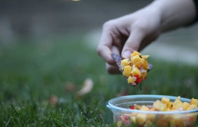 IMG 0281