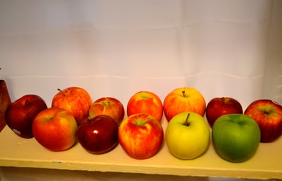 DSC 5322 1