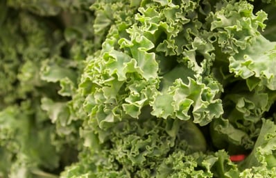 kale e1422247961791