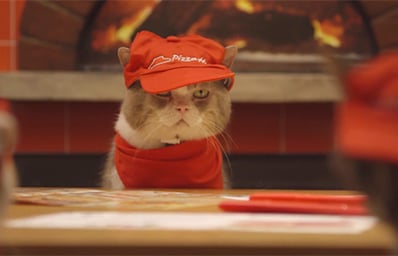 pizza cat 1