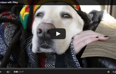 Dog Satisfies Munchies Watch What Happens