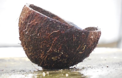 A cut coconut shell