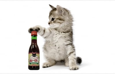 wine for cats hed 2013