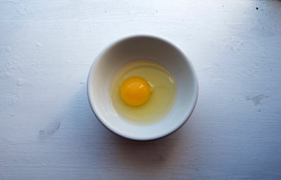 egg