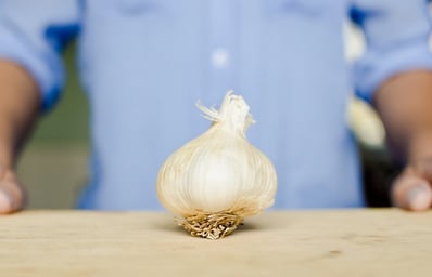 GarlicBulb KaiHuang