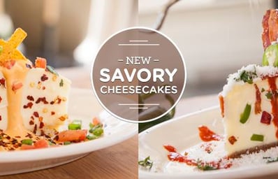 CF savory cheesecake