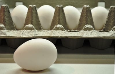 Egg In Front of Carton