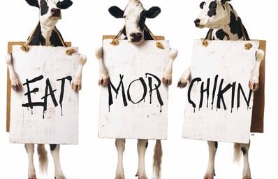 chick fil a 3 Cows lg