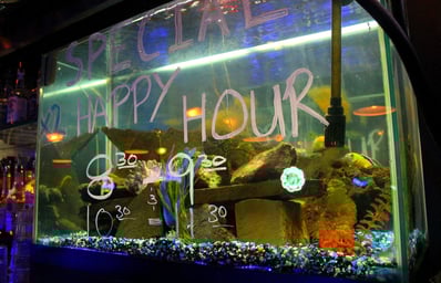 Happy Hour Feature