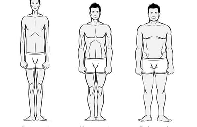 bodytypes