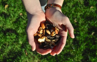 nuts