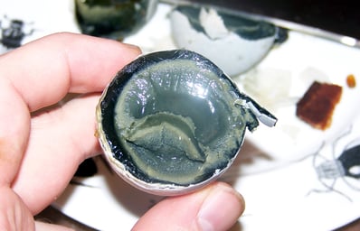 century egg interior