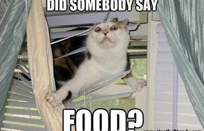 did somebody say