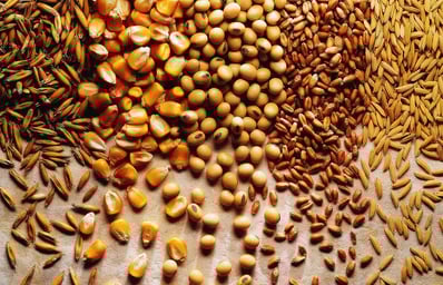 grains