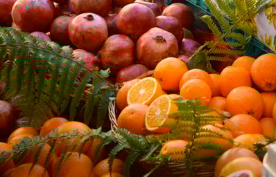 DSC 0041