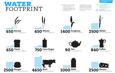 water footprint