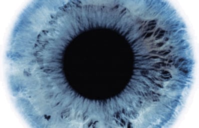 eye
