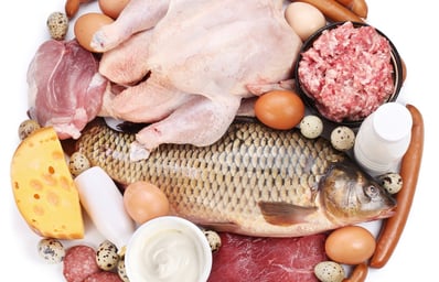 Diets and More High Protein diet