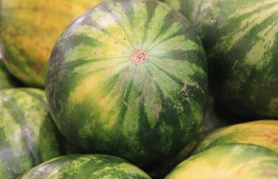 Baker watermelon 1