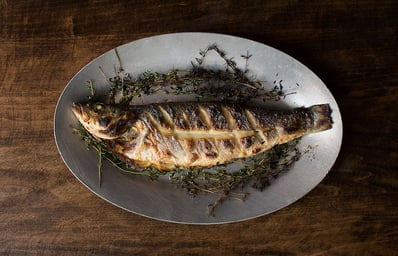 RoastedFish Web