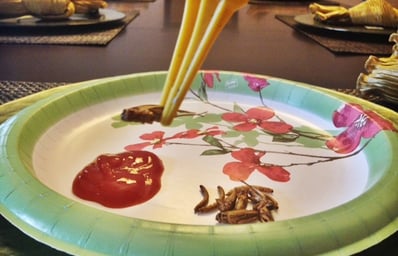 bug plate
