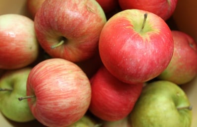 Produce Maggie Gorman