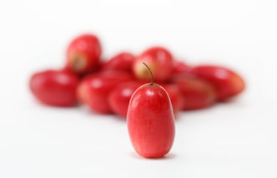miracle berry photo peter tsai1 e1414297660455