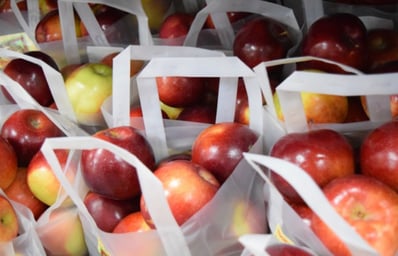 apples1