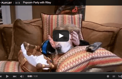 Dog Makes Popcorn Watches Movie in Anticipation of Oscars Season