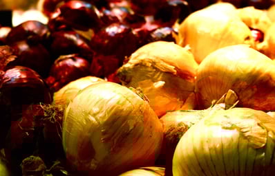 Onions1