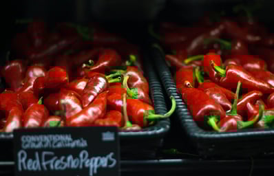 Red Chile Peppers 1