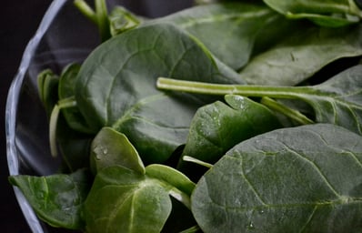 spinach4