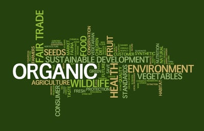 Sustainable Food Words