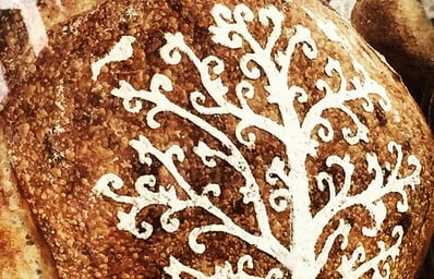 Stella Bread Canva