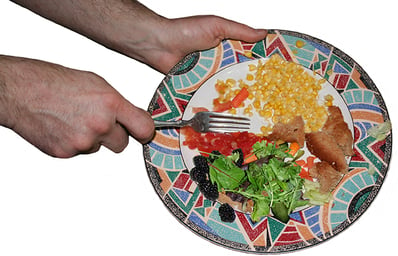 foodWastePlate