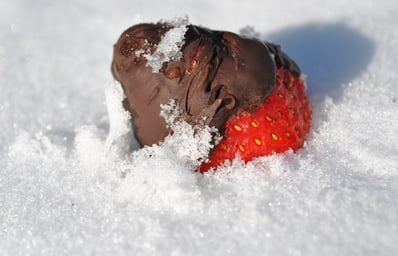 Strawberry In Snow 11