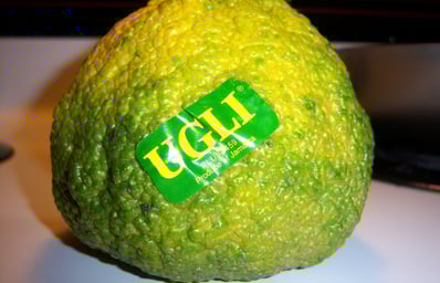 ugliii e1446097279968