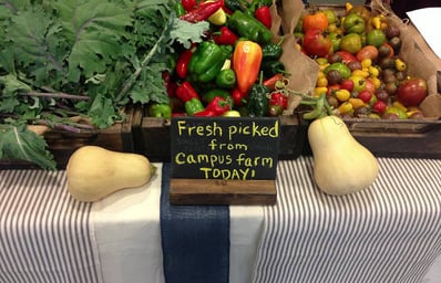 freshfood