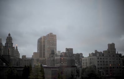 DSC 0536