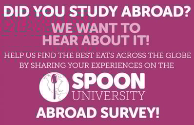 abroad survery e1403713833235