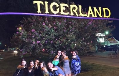 tigerland 2
