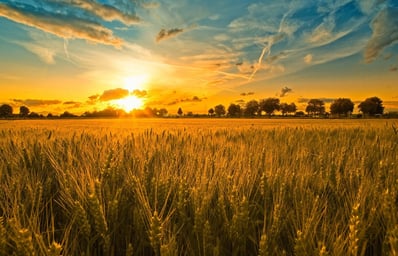 6838241 farm wallpaper
