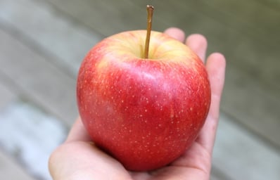 Baker Katherine CarbStory Apple