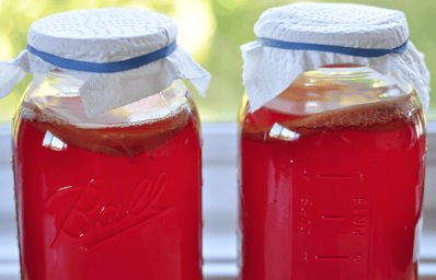 FeaturedPhotoKombucha