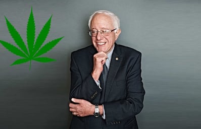 Bernie Supports Legal Weed1