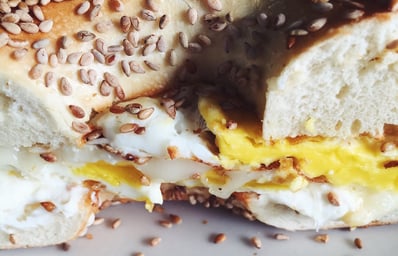 spot bagel