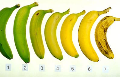 bananaripeningchart2