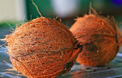 coconut1