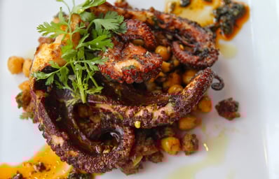 Polvo Grilled