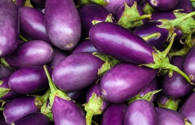 Eggplant 1 1